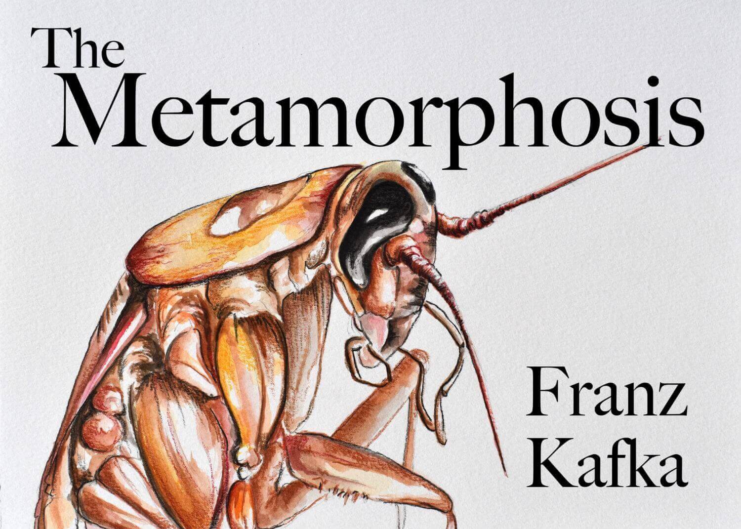 metamorphosis franz kafka art