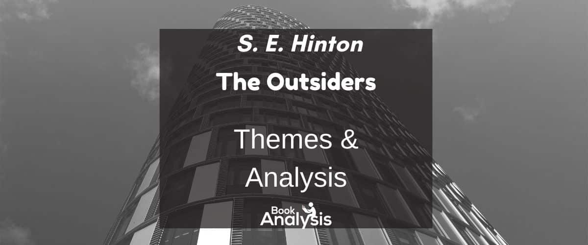 The Outsiders Themes and Analysis Book Analysis