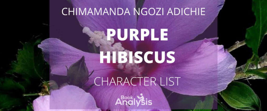 Purple Hibiscus Character List Book Analysis